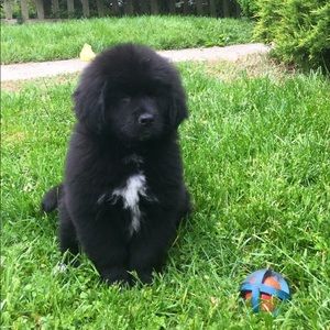 Meet your Posher, Laura